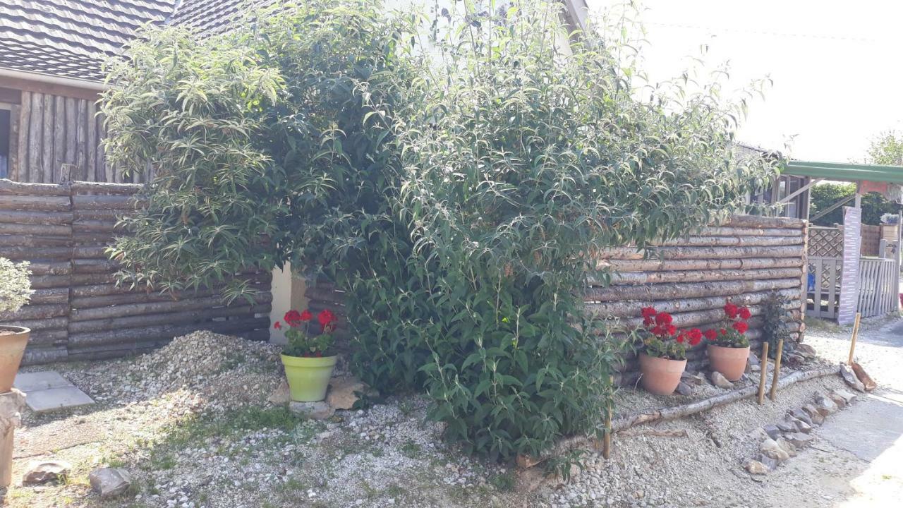 Prehistogite Saint-Genies Kültér fotó